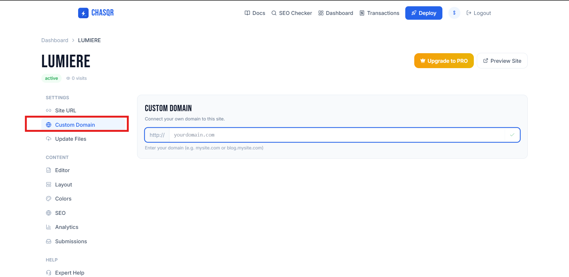 The Custom Domain tab before a domain is connected — type the hostname and press the tick.